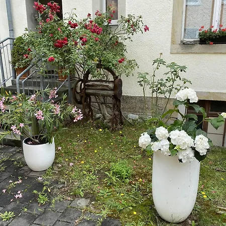 Apartment Und Gaestehaus Matthias Dresden