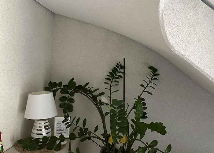 Апартаменты Gaestehaus Matthias