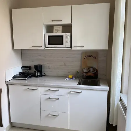 아파트 Und Gaestehaus Matthias 드레스덴