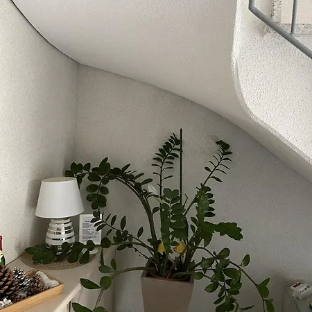 Apartamento Und Gaestehaus Matthias